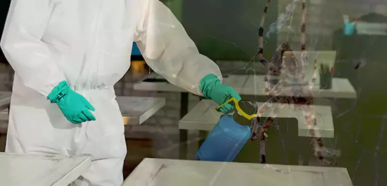Why Buyers Still Want Homes With Pest Infestations in Alabama, AL?