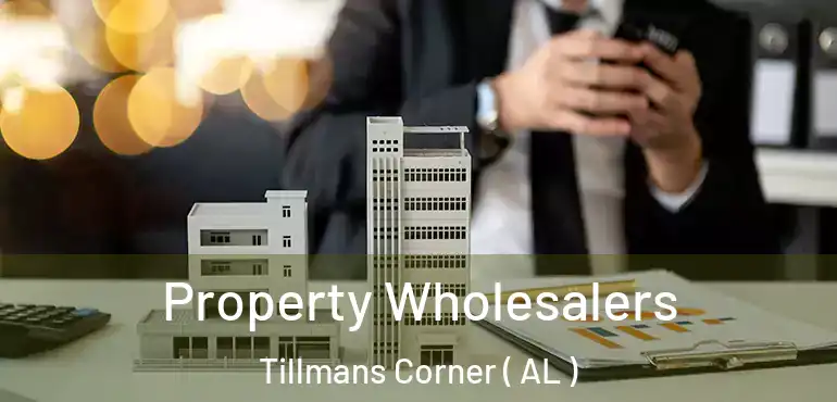 Property Wholesalers Tillmans Corner ( AL )