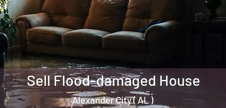  Sell Flood-damaged House Alexander City ( AL )