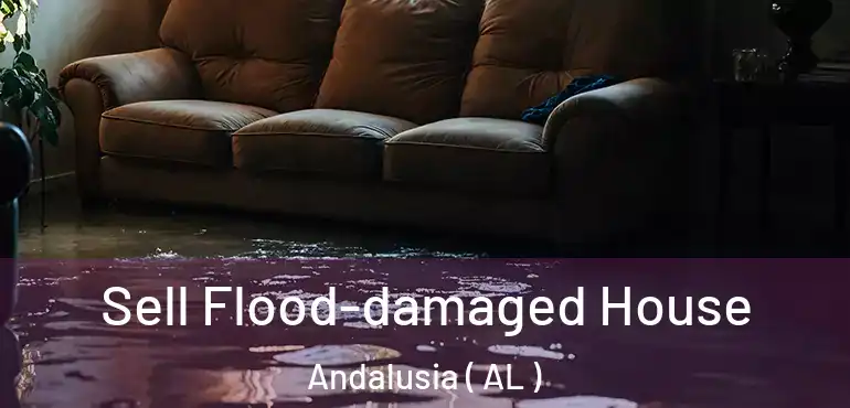  Sell Flood-damaged House Andalusia ( AL )