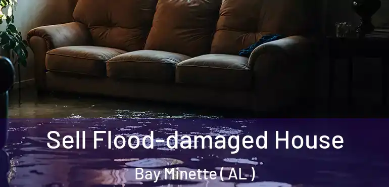  Sell Flood-damaged House Bay Minette ( AL )