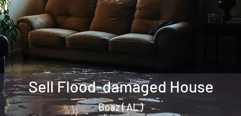  Sell Flood-damaged House Boaz ( AL )