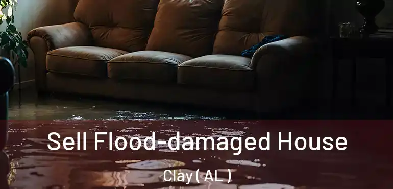  Sell Flood-damaged House Clay ( AL )