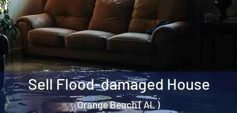  Sell Flood-damaged House Orange Beach ( AL )