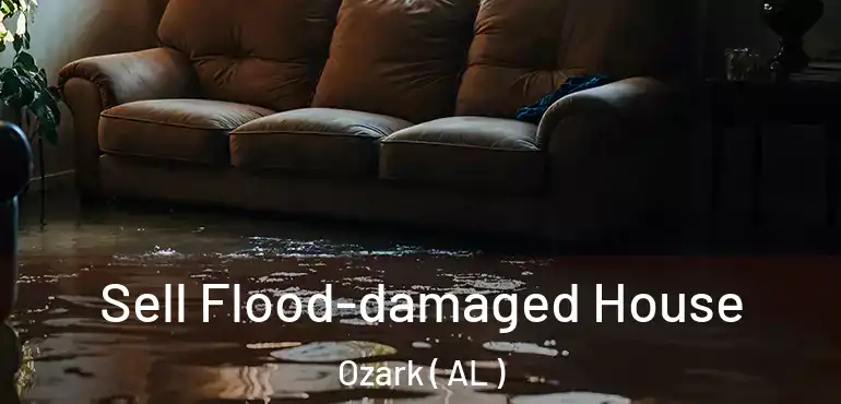  Sell Flood-damaged House Ozark ( AL )