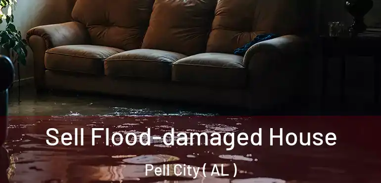  Sell Flood-damaged House Pell City ( AL )