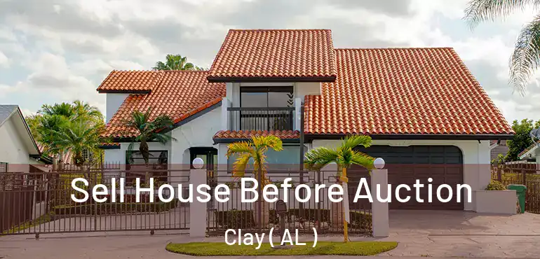  Sell House Before Auction Clay ( AL )