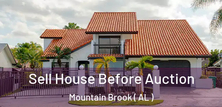  Sell House Before Auction Mountain Brook ( AL )