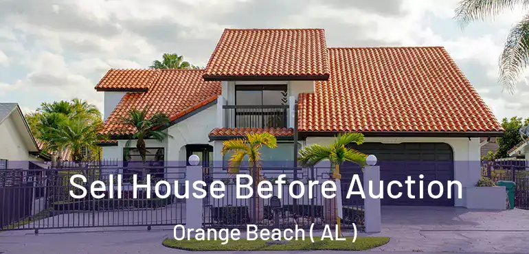  Sell House Before Auction Orange Beach ( AL )