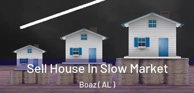  Sell House In Slow Market Boaz ( AL )
