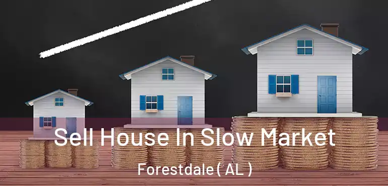  Sell House In Slow Market Forestdale ( AL )