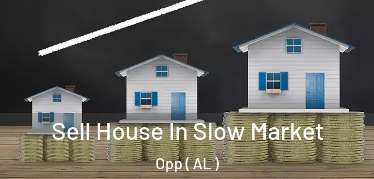  Sell House In Slow Market Opp ( AL )