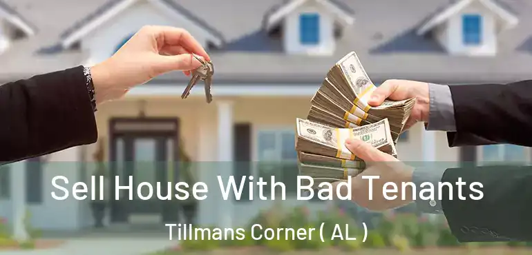  Sell House With Bad Tenants Tillmans Corner ( AL )