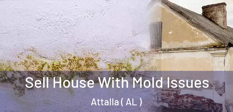  Sell House With Mold Issues Attalla ( AL )