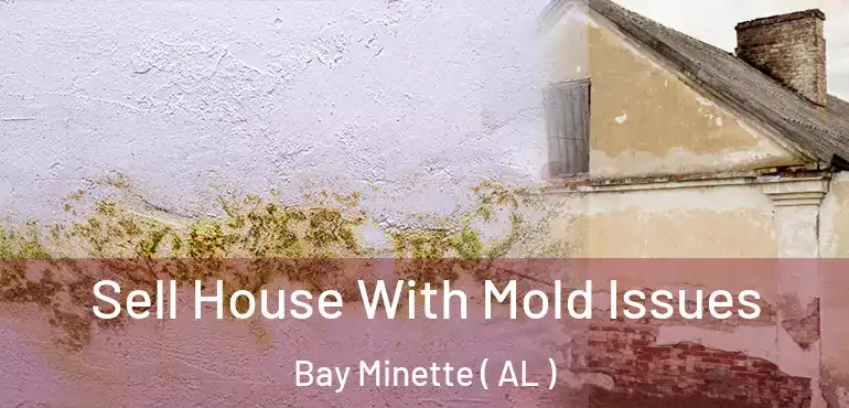  Sell House With Mold Issues Bay Minette ( AL )