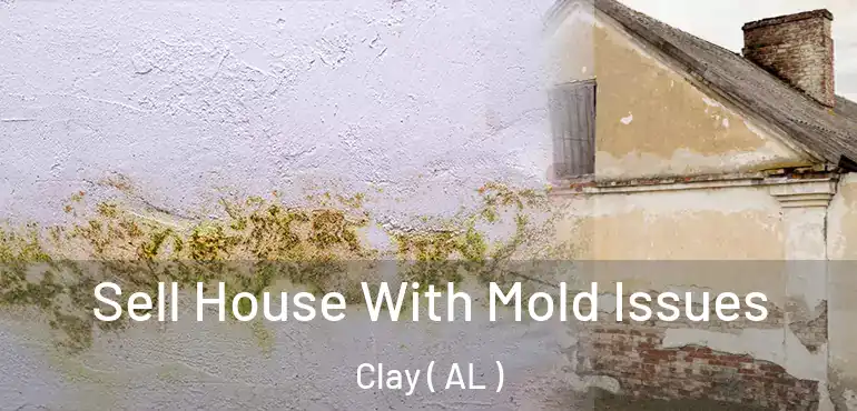  Sell House With Mold Issues Clay ( AL )