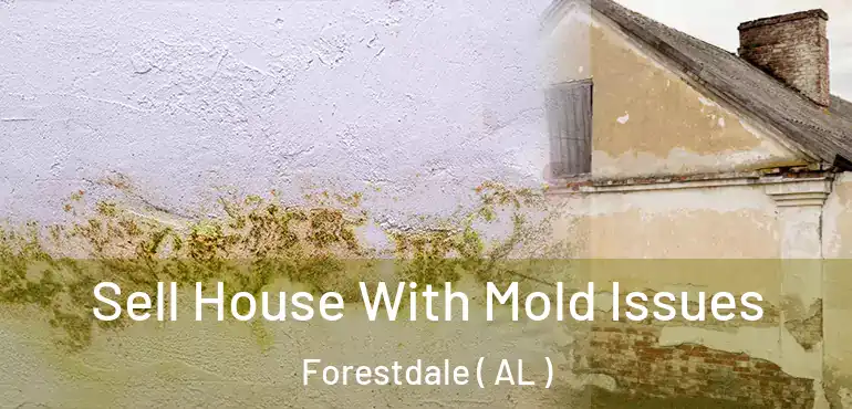  Sell House With Mold Issues Forestdale ( AL )