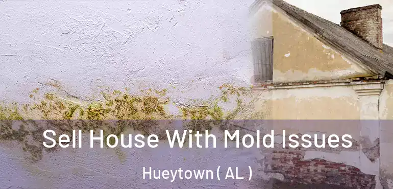  Sell House With Mold Issues Hueytown ( AL )