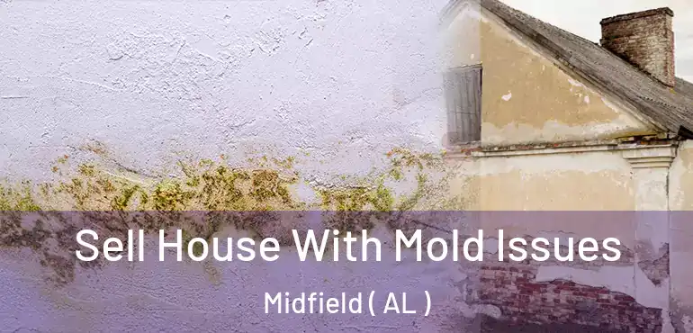  Sell House With Mold Issues Midfield ( AL )