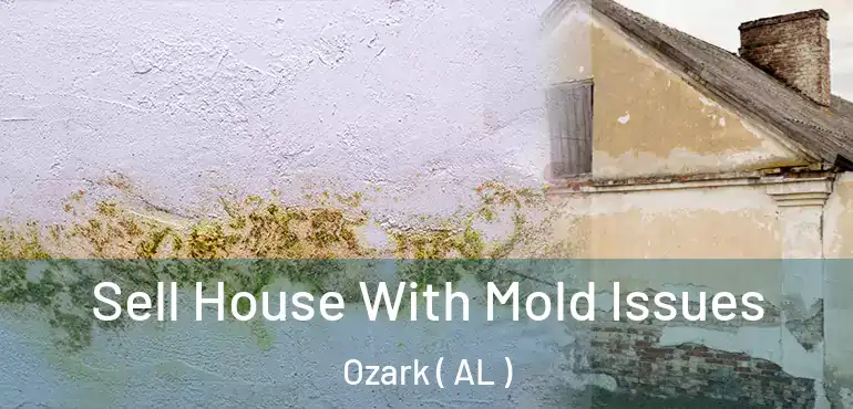  Sell House With Mold Issues Ozark ( AL )