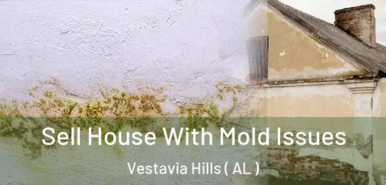  Sell House With Mold Issues Vestavia Hills ( AL )
