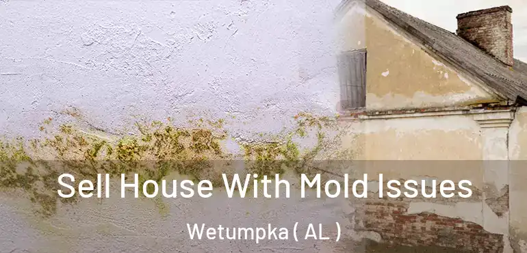  Sell House With Mold Issues Wetumpka ( AL )